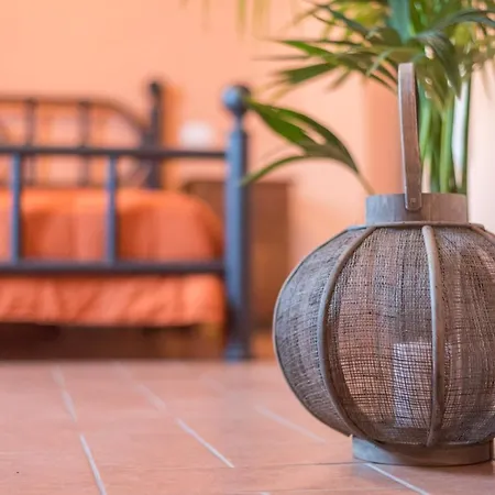 Lemon Tree Boutique Guest house