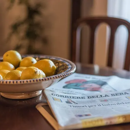 Lemon Tree Boutique Gæstehus