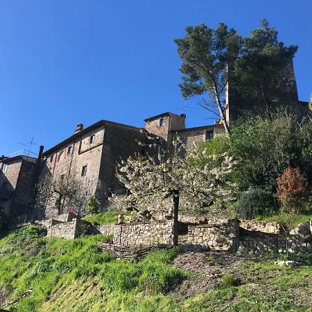 게스트하우스 Lemon Tree Boutique