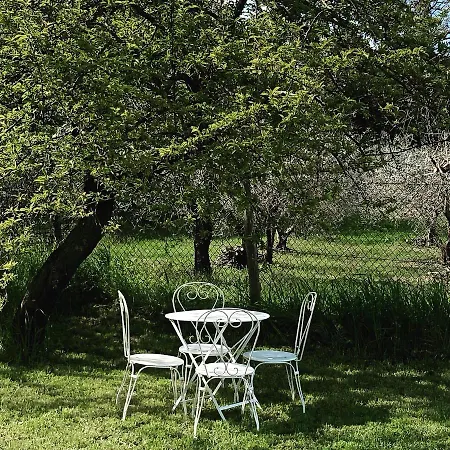 Guest house Lemon Tree Boutique *