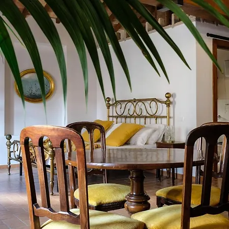 Lemon Tree Boutique Gasthuis