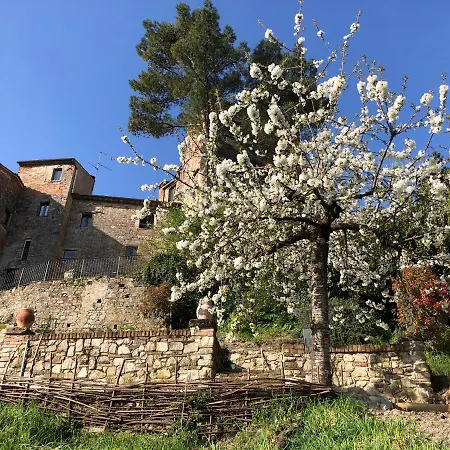 Lemon Tree Boutique Gæstehus Todi
