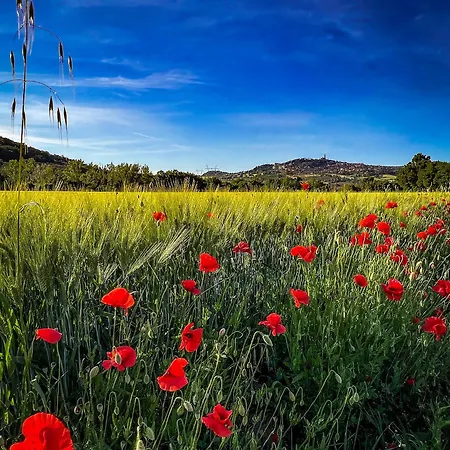 Lemon Tree Boutique Gasthuis 4*