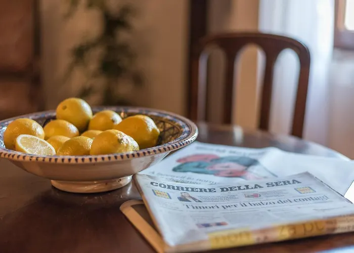 Lemon Tree Boutique 게스트하우스