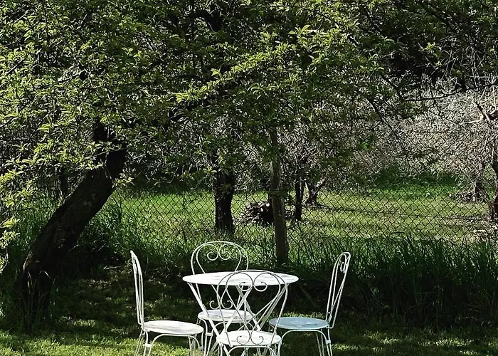 게스트하우스 Lemon Tree Boutique 4*