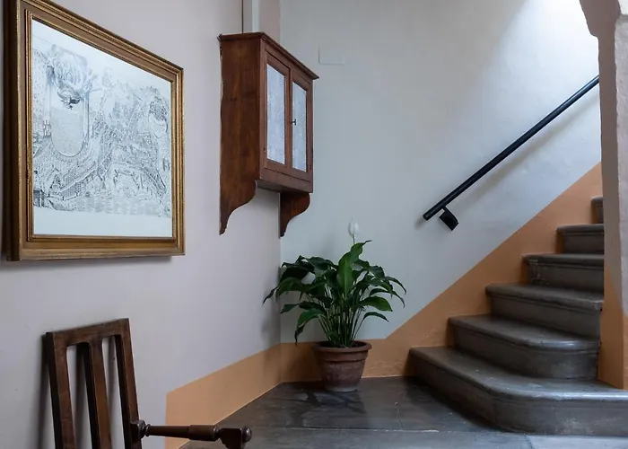 게스트하우스 Lemon Tree Boutique