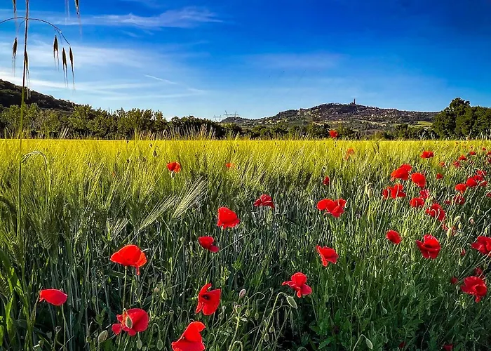 Lemon Tree Boutique Affittacamere 4*